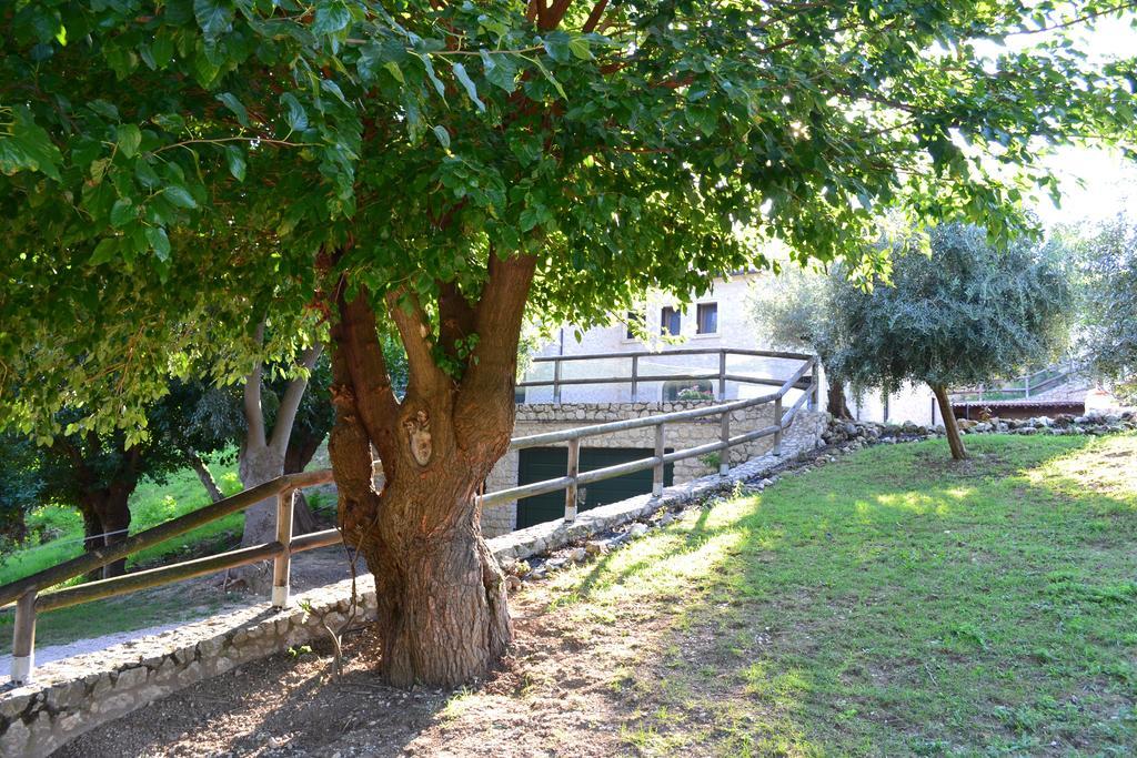 Bed and Breakfast Casale La Rocchetta Lonigo Exterior foto